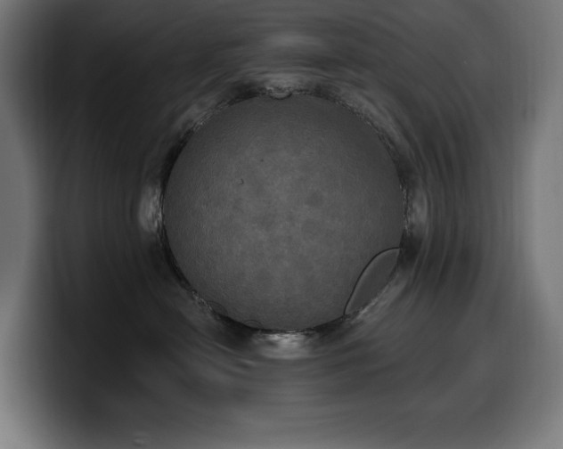 X0000100500478200806131440