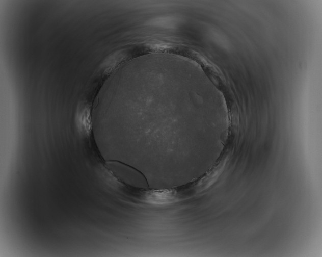 X0000100500479200806131440