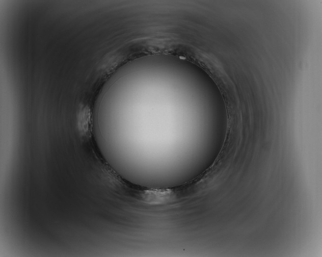 X0000100500480200806131440