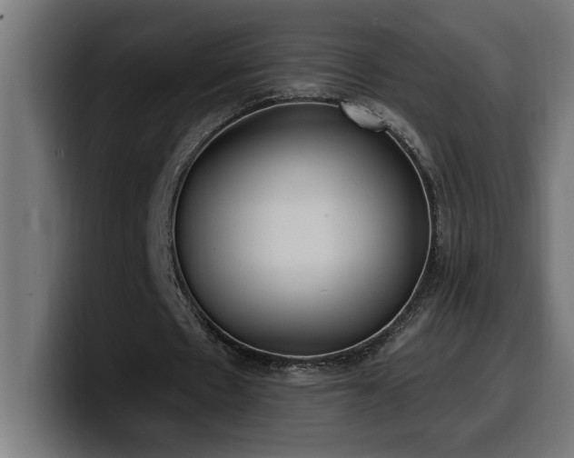 X0000100500481200806131439