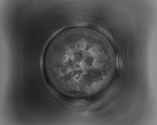 X0000100500483200806131439