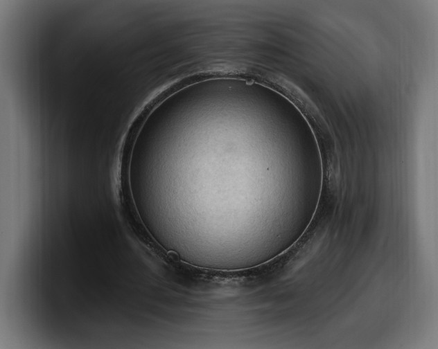 X0000100500484200806131439