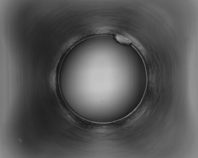 X0000100500485200806131439