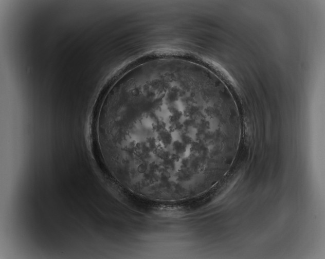 X0000100500487200806131439