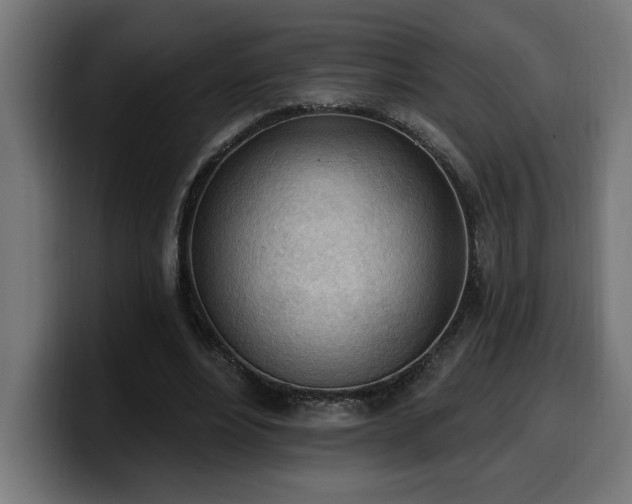 X0000100500488200806131439