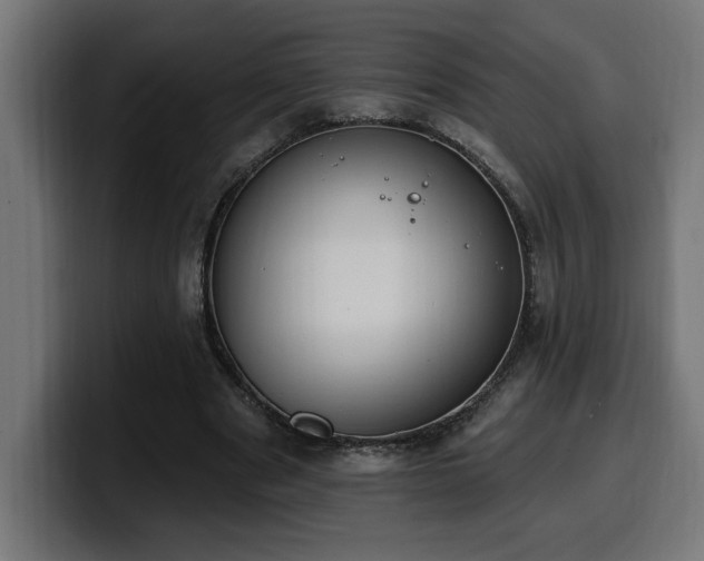 X0000100500489200806131439