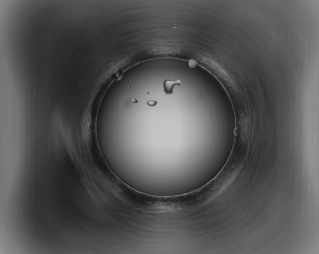 X0000100500490200806131439