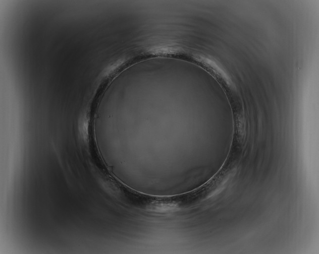 X0000100500491200806131439