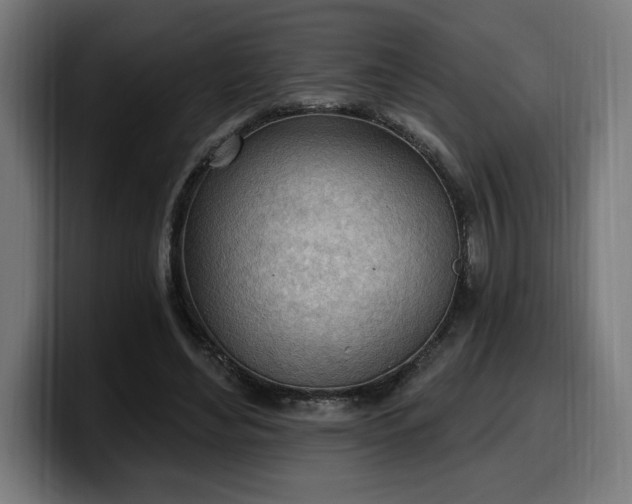 X0000100500492200806131439