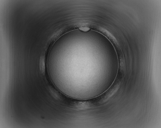 X0000100500493200806131439