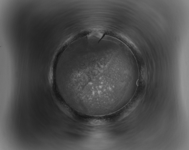 X0000100500494200806131439