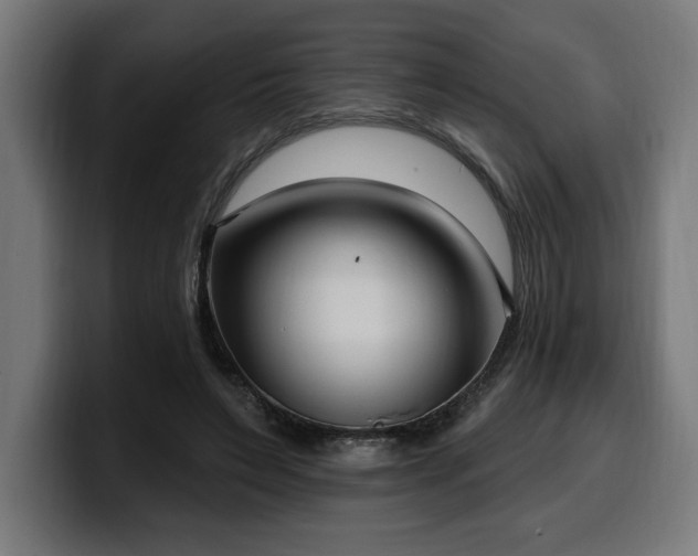 X0000100500495200806131439