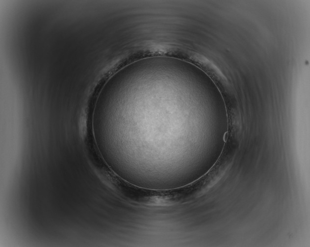 X0000100500496200806131439