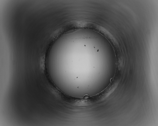 X0000100500497200806131439