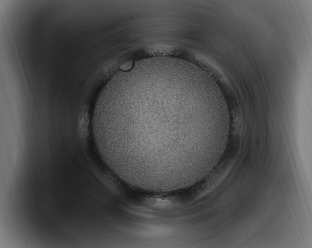 X0000100500498200806131439