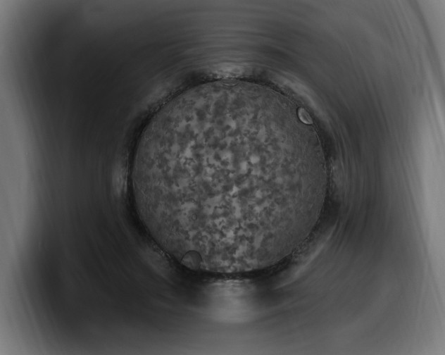 X0000100500499200806131439