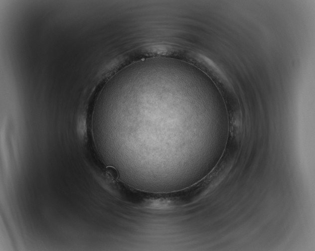 X0000100500500200806131439