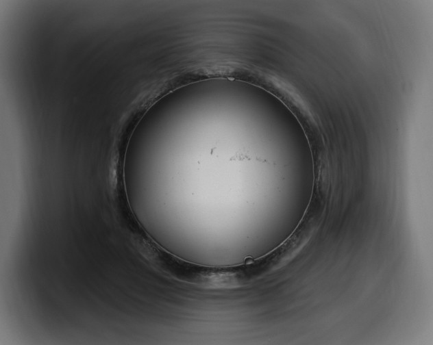 X0000100500501200806131439