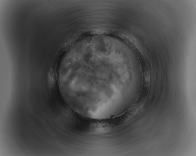 X0000100500503200806131439