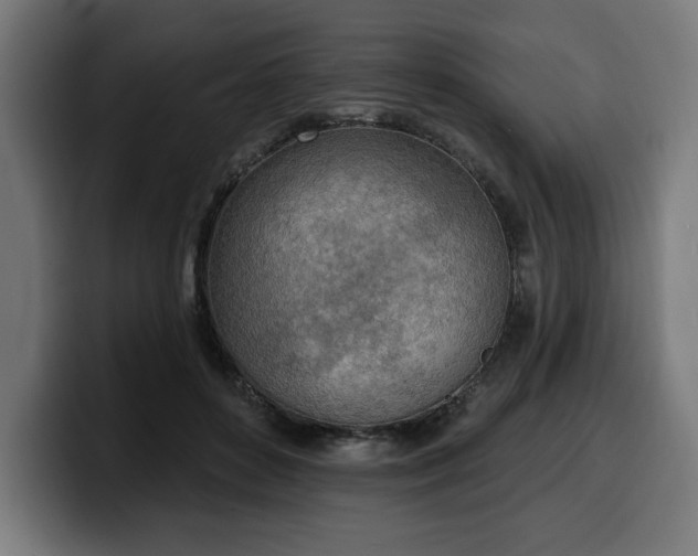 X0000100500504200806131439