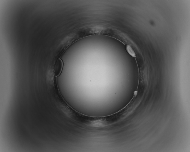 X0000100500505200806131439