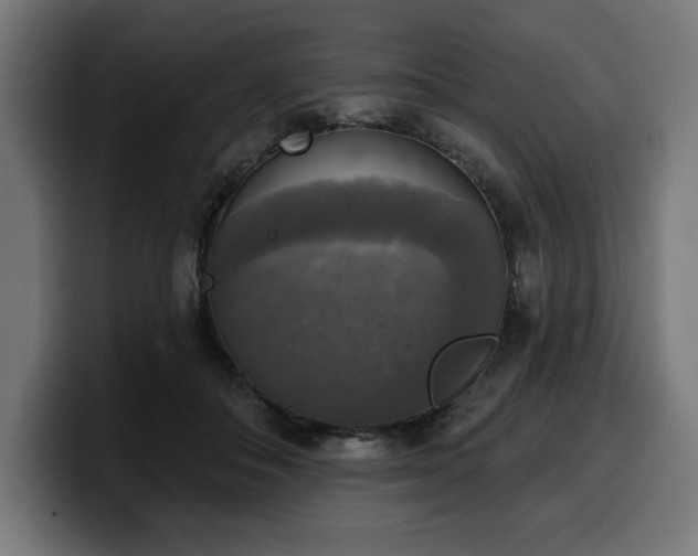 X0000100500506200806131439