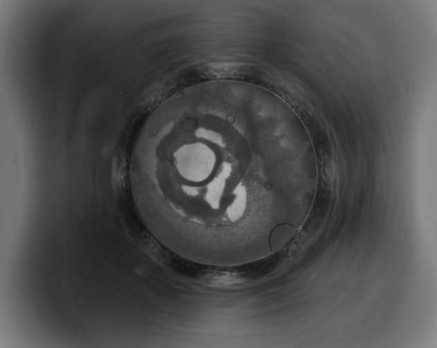 X0000100500507200806131439