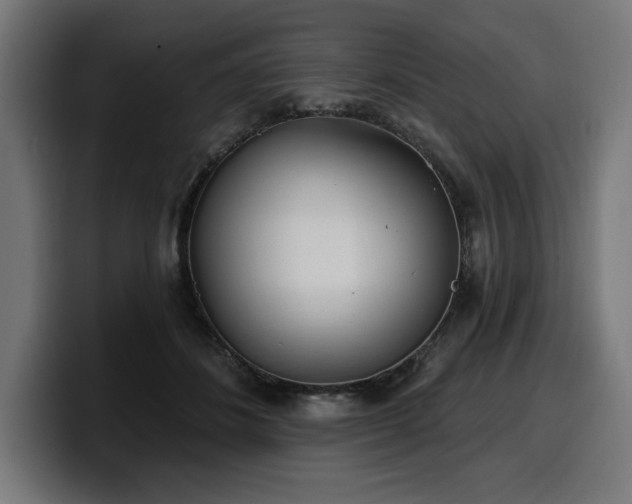 X0000100500508200806131439