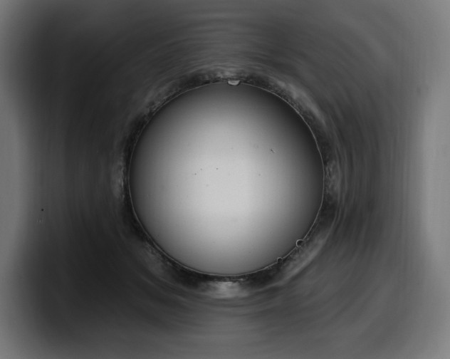 X0000100500509200806131439