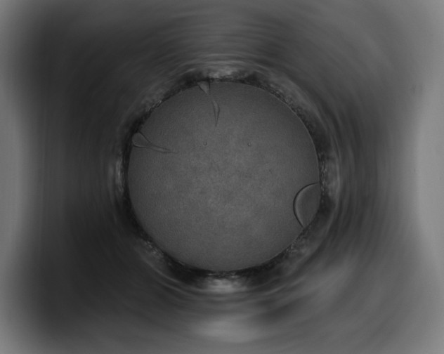 X0000100500510200806131439