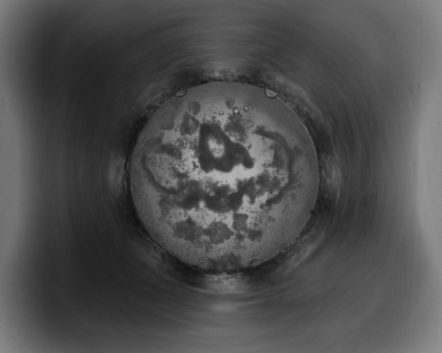 X0000100500511200806131439