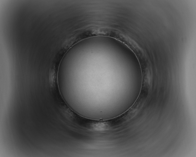 X0000100500513200806131439