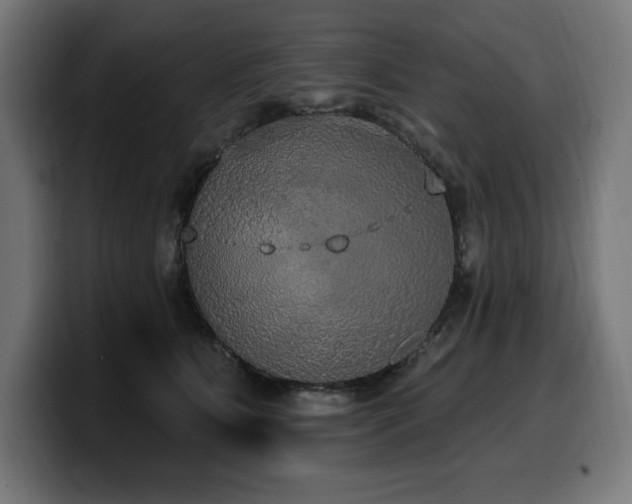 X0000100500515200806131439