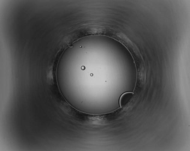 X0000100500516200806131439