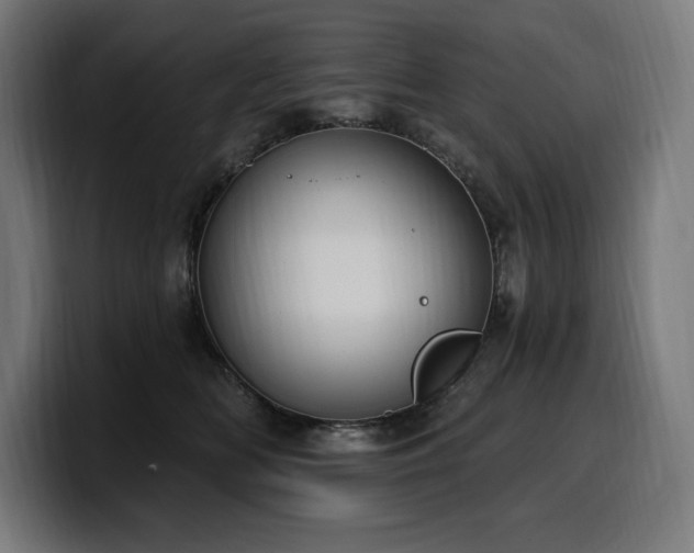 X0000100500518200806131439