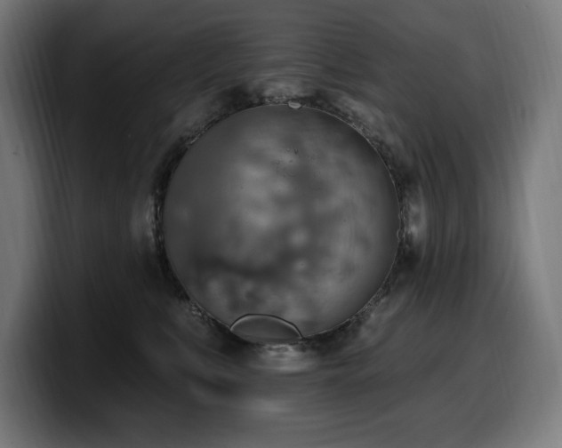 X0000100500519200806131439