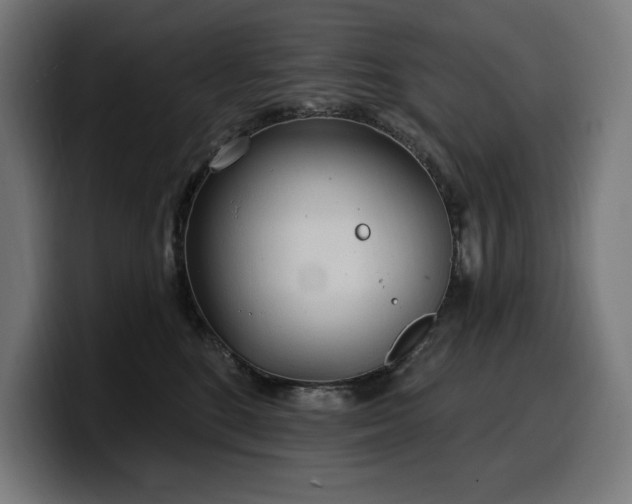 X0000100500520200806131439