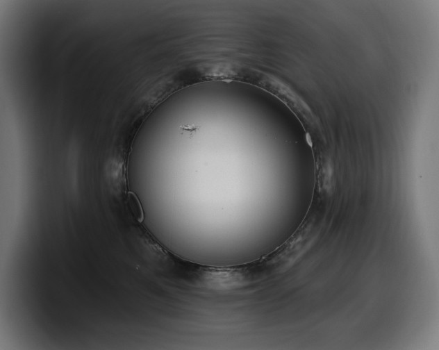 X0000100500521200806131439