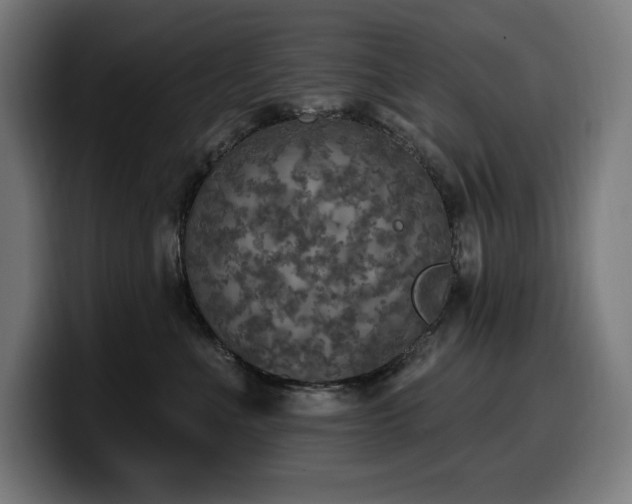 X0000100500523200806131439