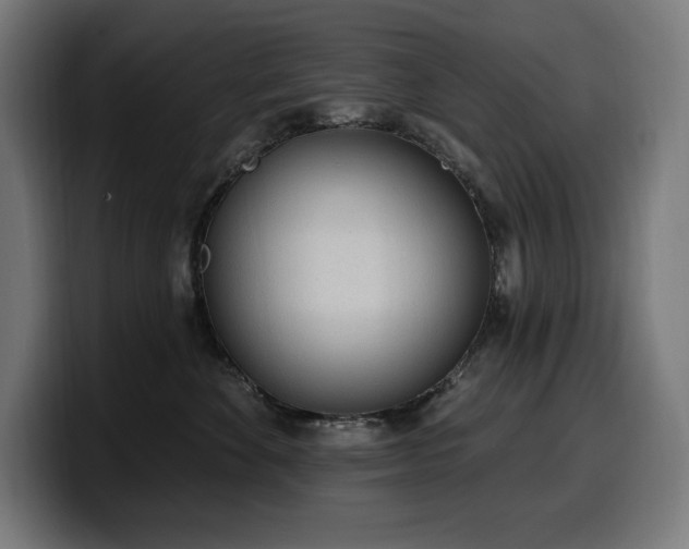 X0000100500524200806131439