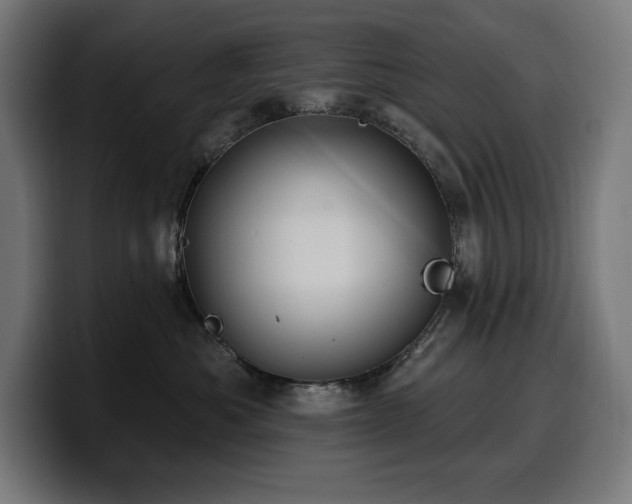 X0000100500525200806131439