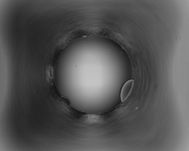 X0000100500528200806131439