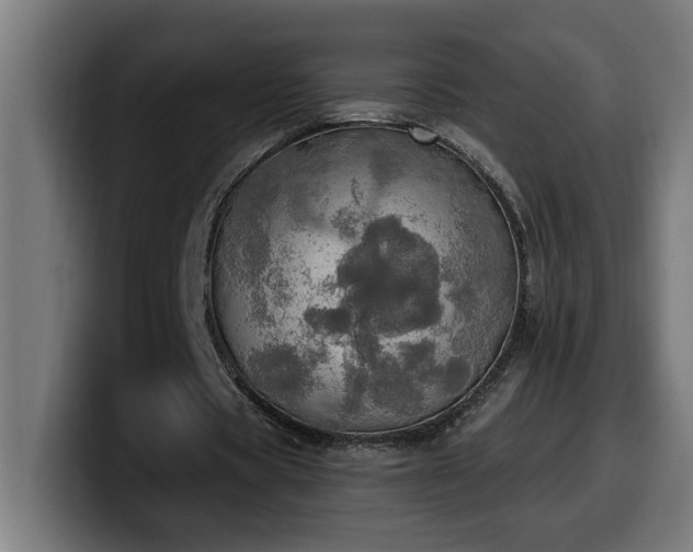 X0000100500529200806131438