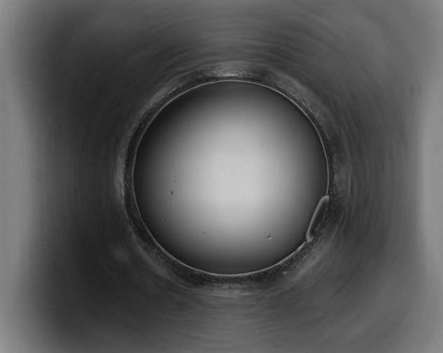 X0000100500530200806131438