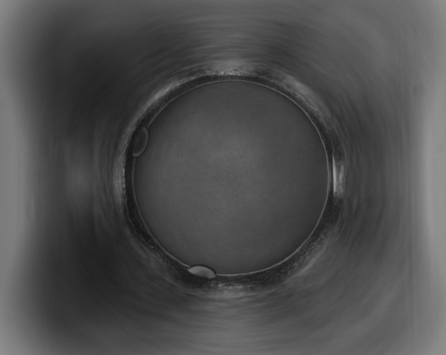 X0000100500531200806131438