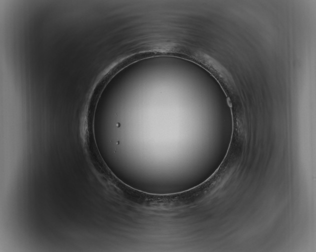 X0000100500532200806131438