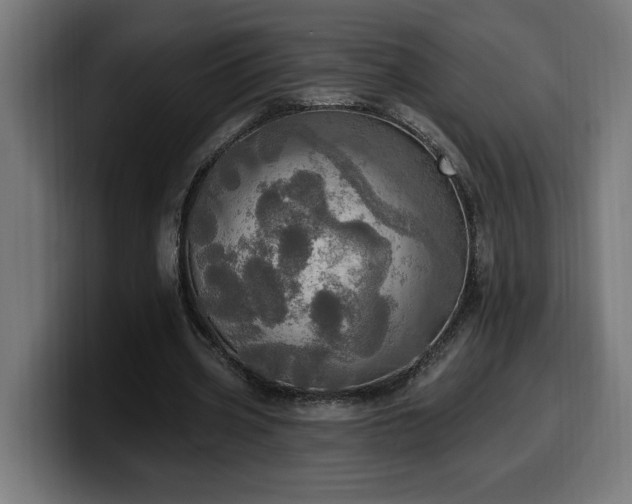 X0000100500533200806131438