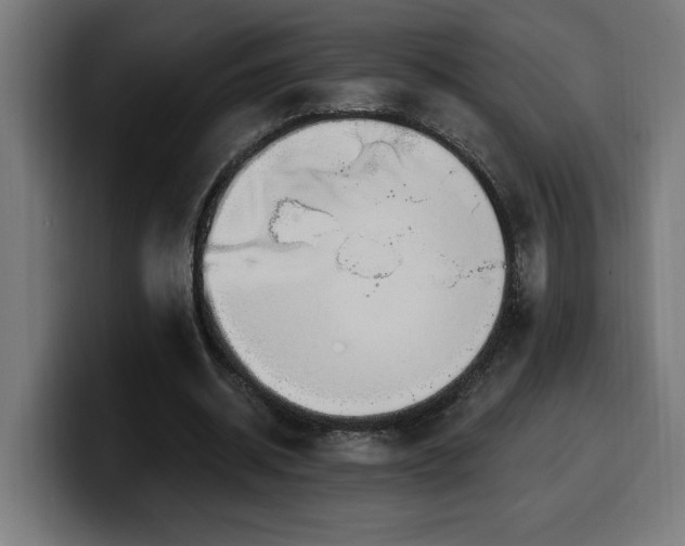 X0000100500534200806131438