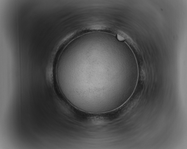 X0000100500535200806131438