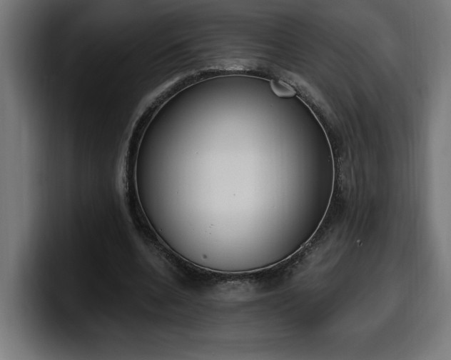 X0000100500536200806131438